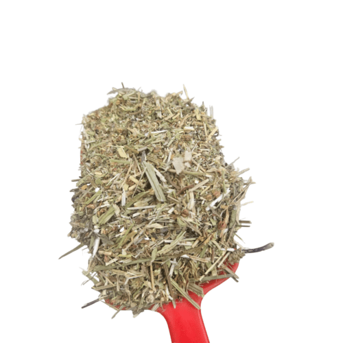 LLANTEN HIERBA 100GRS