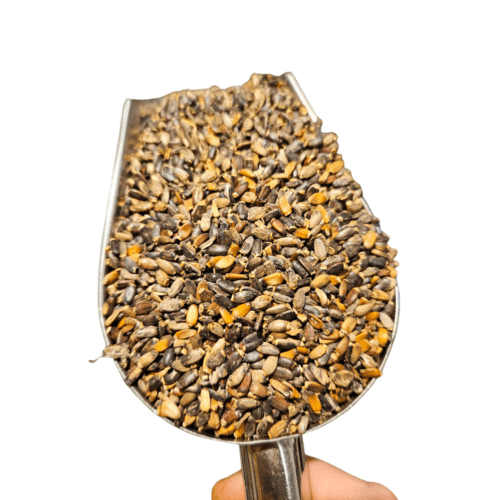 CARDO MARIANO EN SEMILLAS 100GR HIERBA