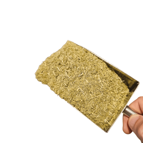 LEMONGRASS MOLIDO 100 GR HIERBA