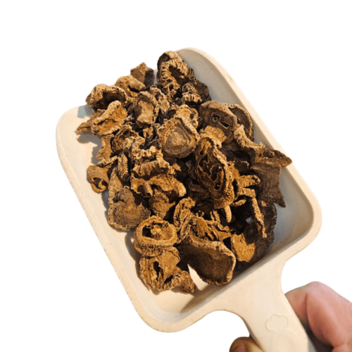 HARPAGOFITO RAIZ 100GR HIERBA
