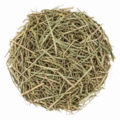 LEMONGRASS 100 GR HIERBA