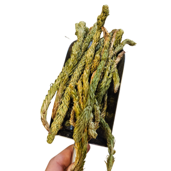 Diseño sin título (22)