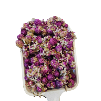 Diseño sin título (27)