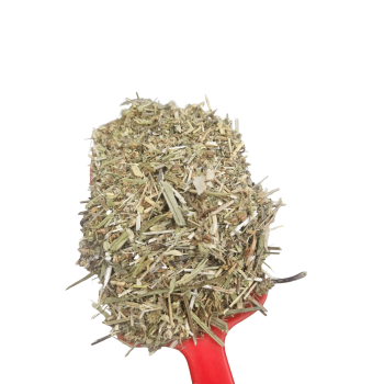 Diseño sin título (53)